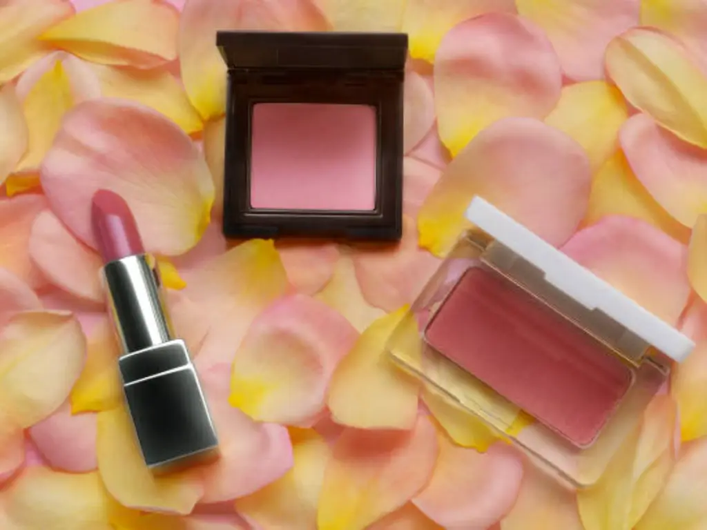Blush & Lip Tint Hybrids: The Two-in-One Beauty Solution