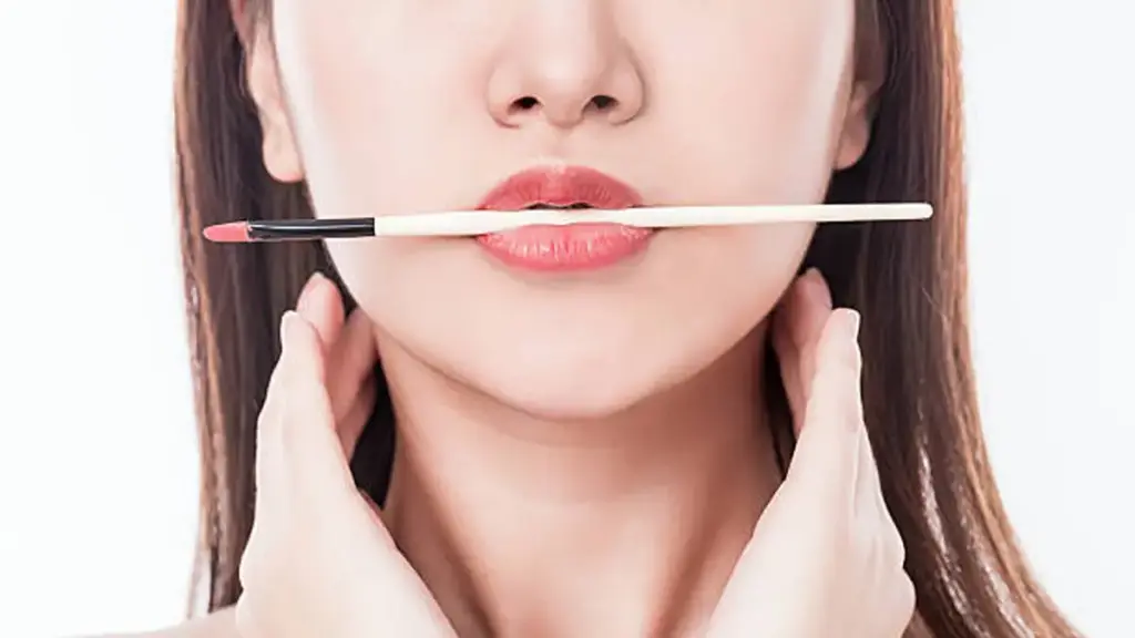 Lip Liner Texture Types and Packaging Options
